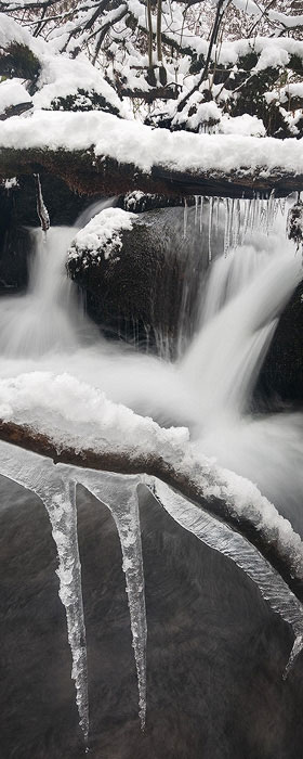 Spikes of ice hang off a brank overhanging the colly brook stream
