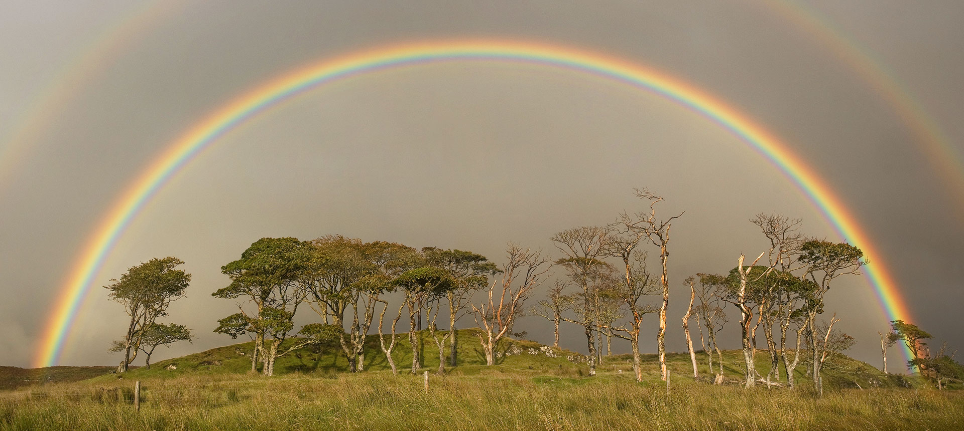 A full double rainbow over a group of trees in scotland.