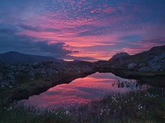 red sunrise of altocumulus reflected in a pool in snowdonia