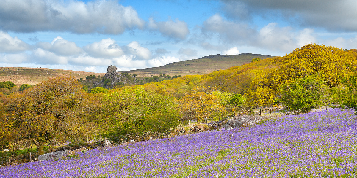 Photo taken at West Dartmoor