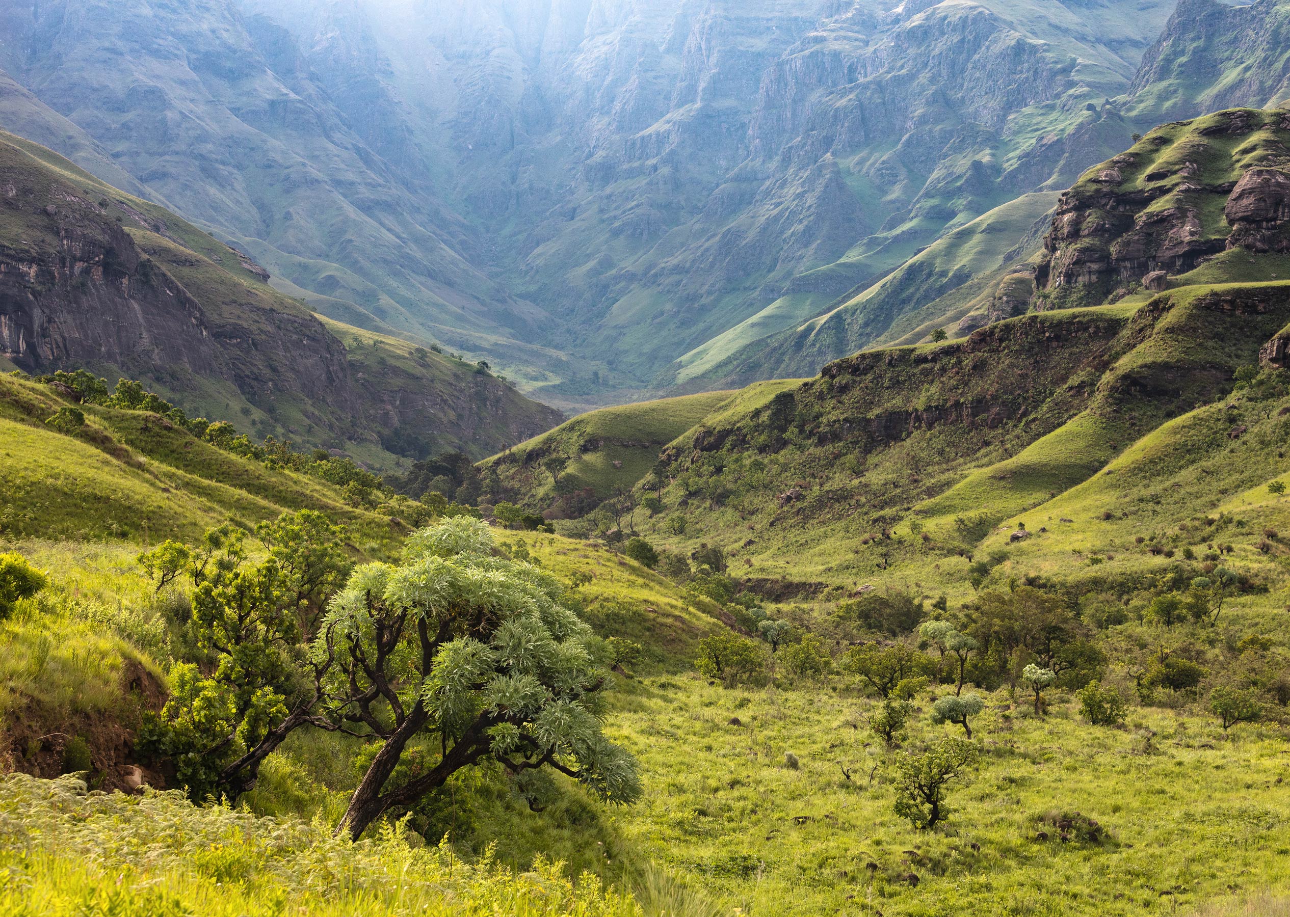 Photo taken at Drakensberg, South Africa