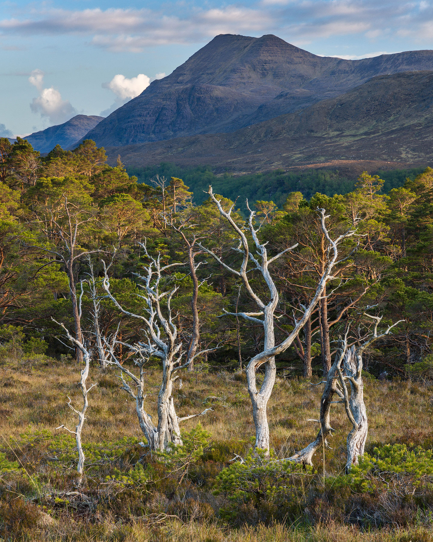 Photo taken at The Great Wilderness, Scotland
