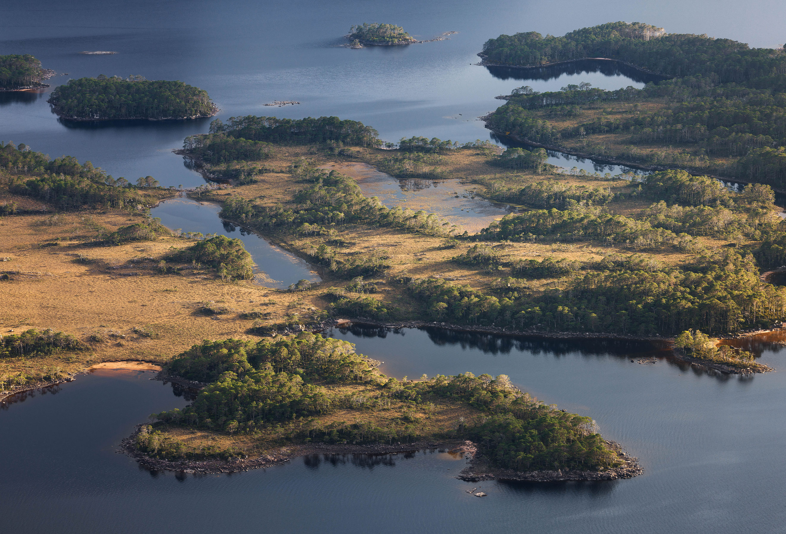 Photo taken at The Great Wilderness, Scotland
