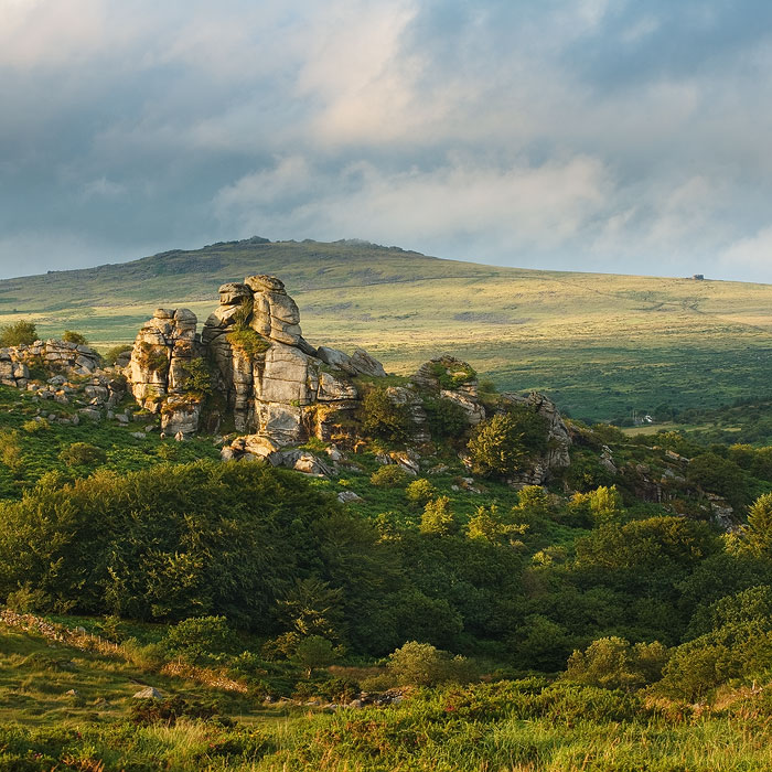 Vixen Tor surrounded by trees with a view to Great Mis Tor behind