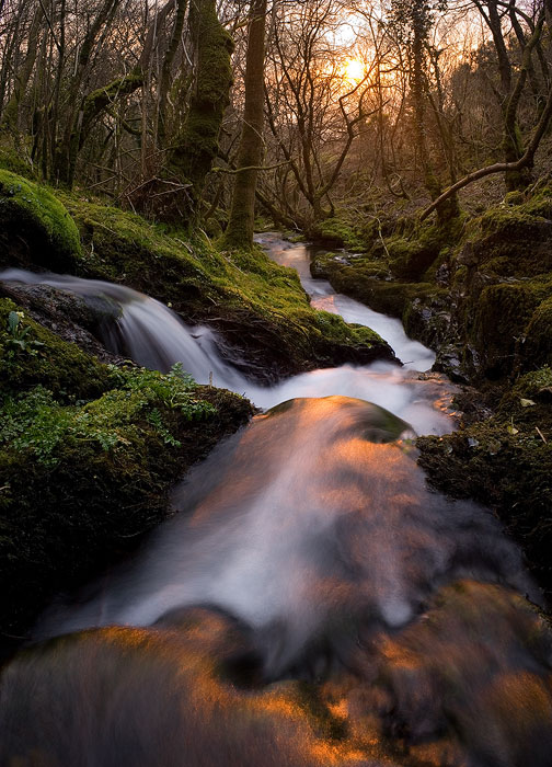 The sun reflects off the colly brook at sunset