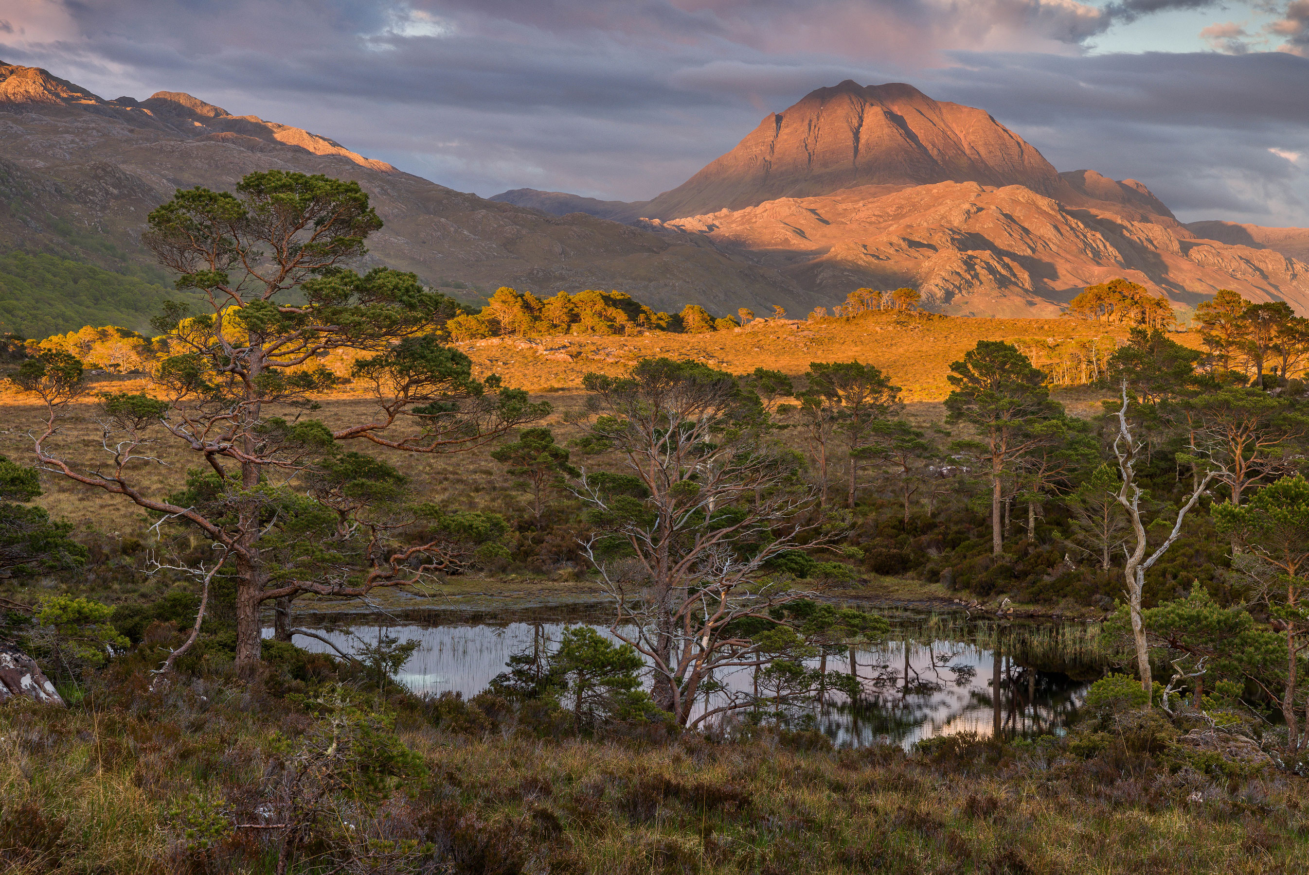 Photo taken at The Great Wilderness, Scotland