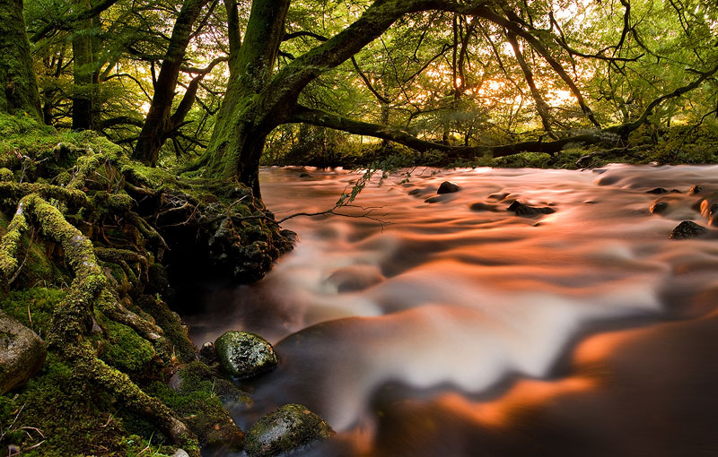 Sunset refleciton off the River Tavy