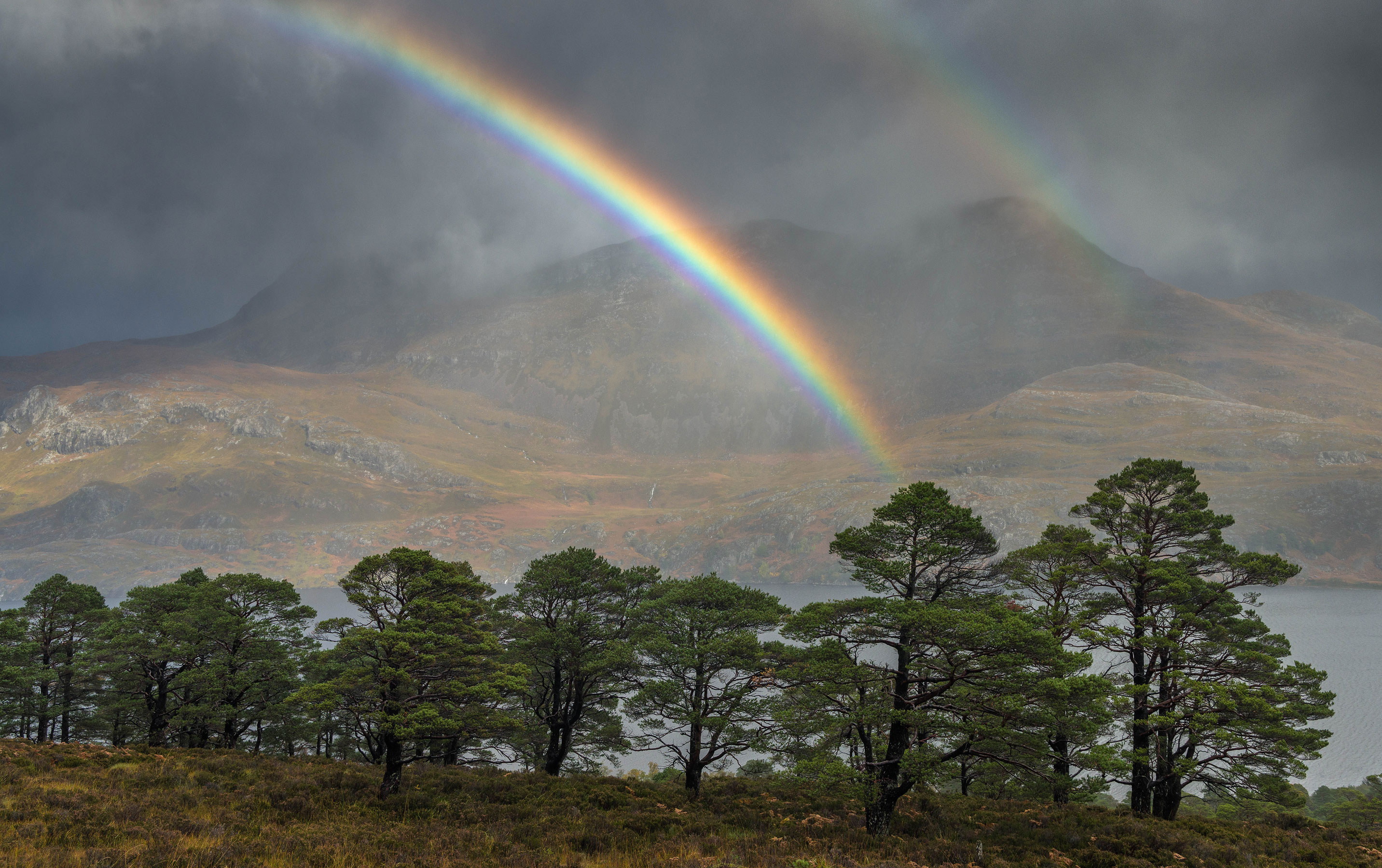 Photo taken at The Great Wilderness, Scotland