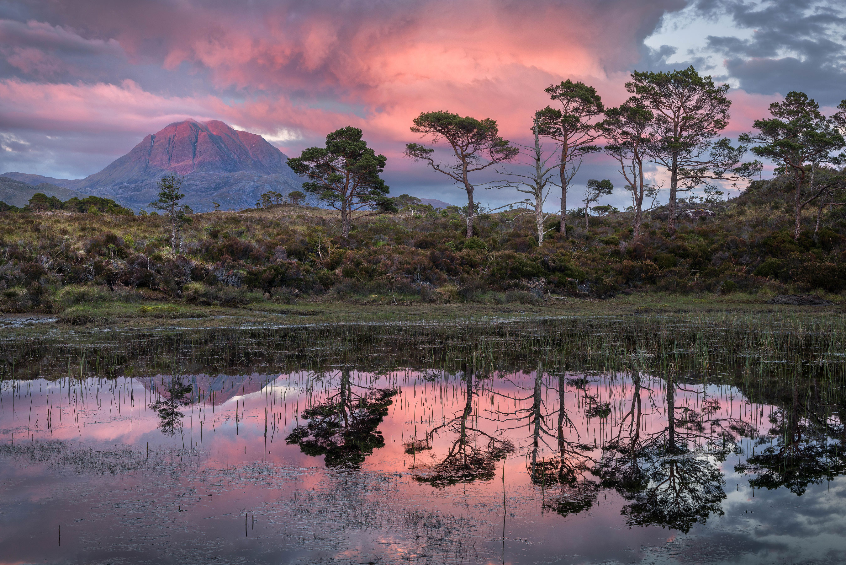 Photo taken at The Great Wilderness, Scotland