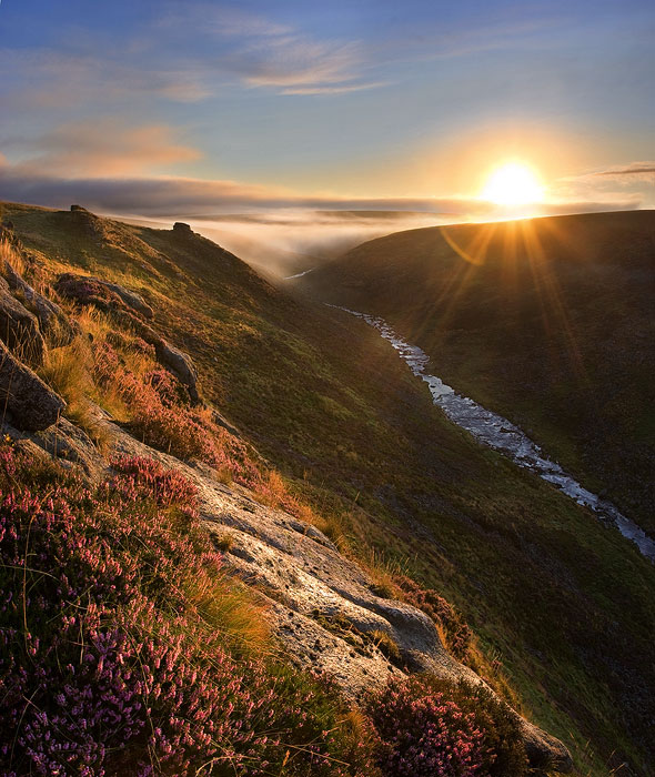 Tavy Cleave at sunrise with heather in the foreground and cloud drifting ont he horison and a full rising sun