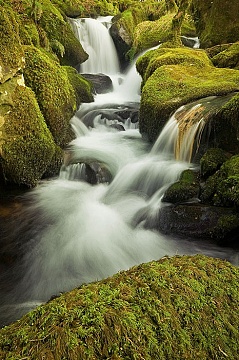 Waterfall and mossy rocks
