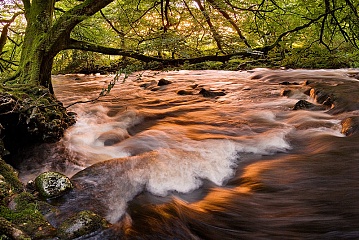 A colourful reflection off the river tavy at sunset