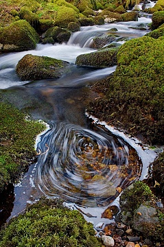 bubbles rotating in a small pool on the Colly Brook